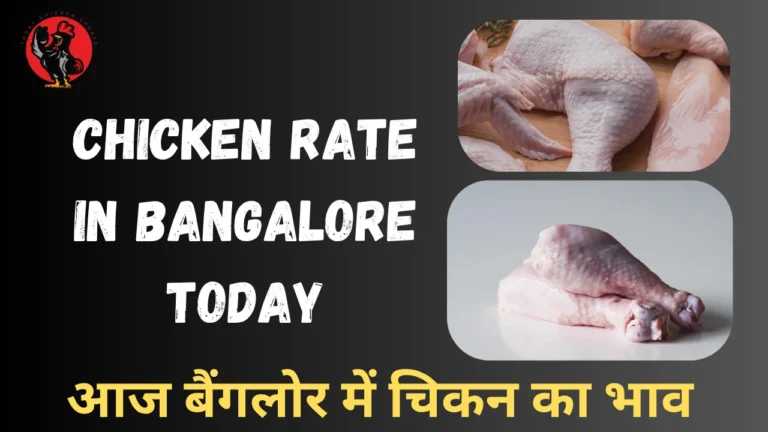 Chicken Rate in Bangalore Today
