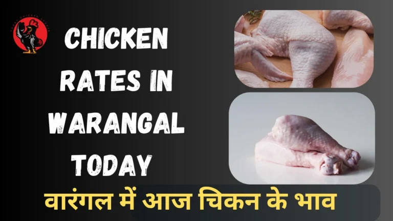 Chicken Rates in Warangal Today 