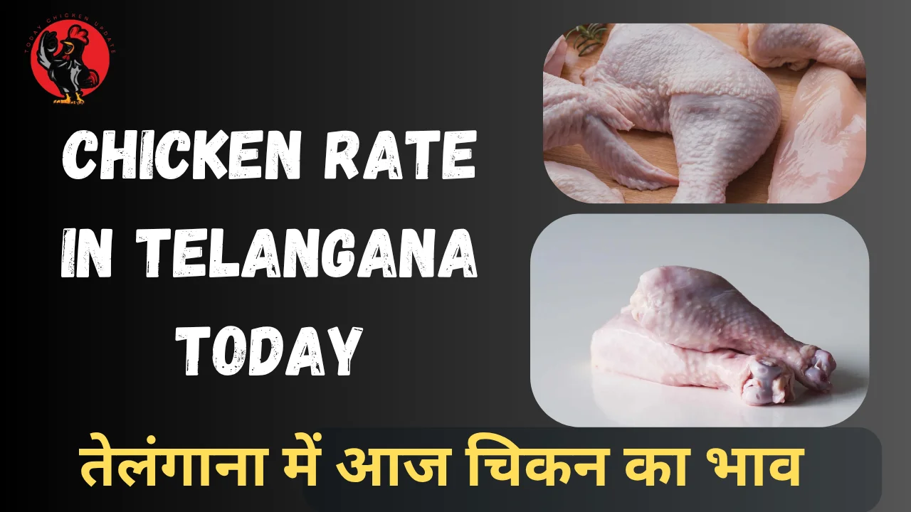 Chicken Rate in Telangana Today