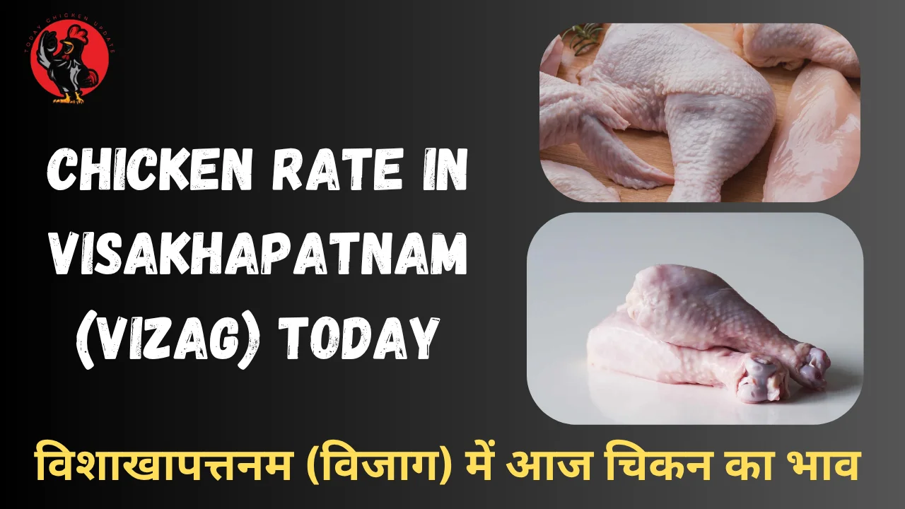 Chicken Rate in Visakhapatnam (Vizag) Today