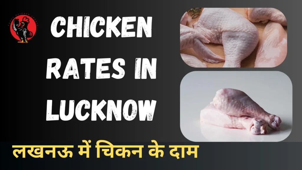 Chicken Rates in Lucknow