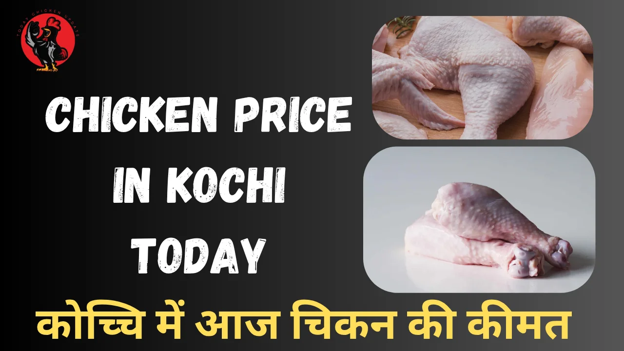 Chicken Price in Kochi Today