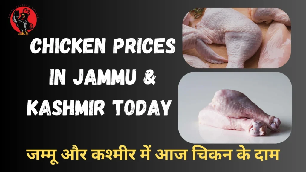 Chicken Prices in jammu & kashmir Today