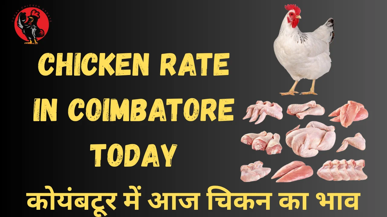Chicken Rate in Coimbatore Today (1)