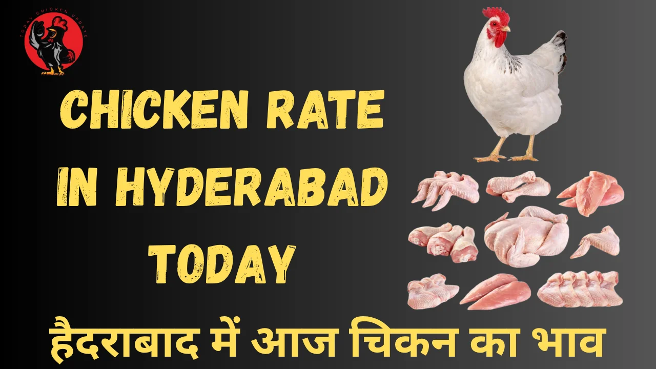 Chicken Rate in Hyderabad Today