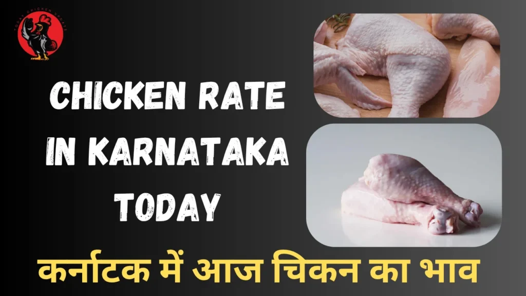 Chicken Rate in Karnataka Today