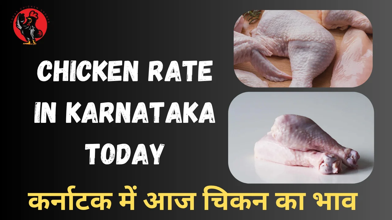 Chicken Rate in Karnataka Today