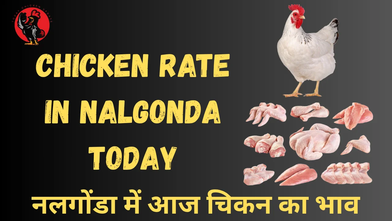 Chicken Rate in Nalgonda Today