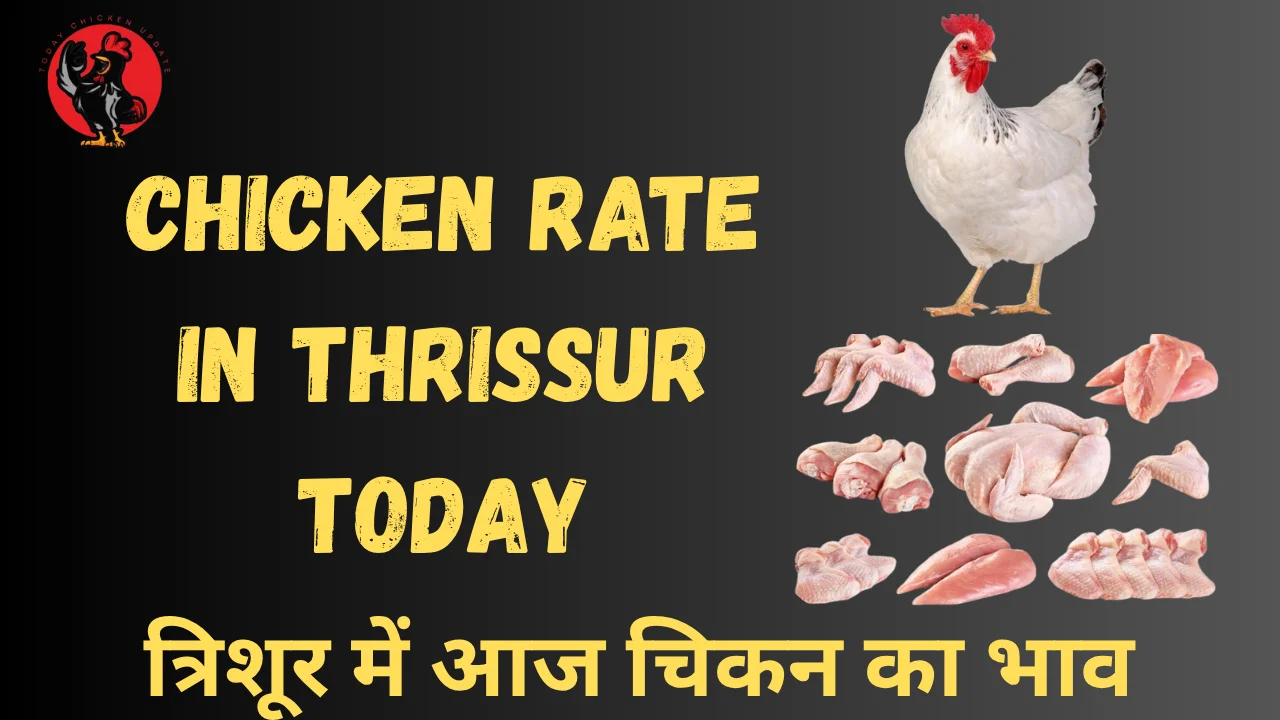 Chicken Rate in Thrissur Today