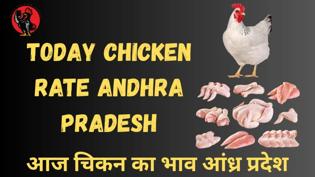 Today Chicken Rate Andhra Pradesh