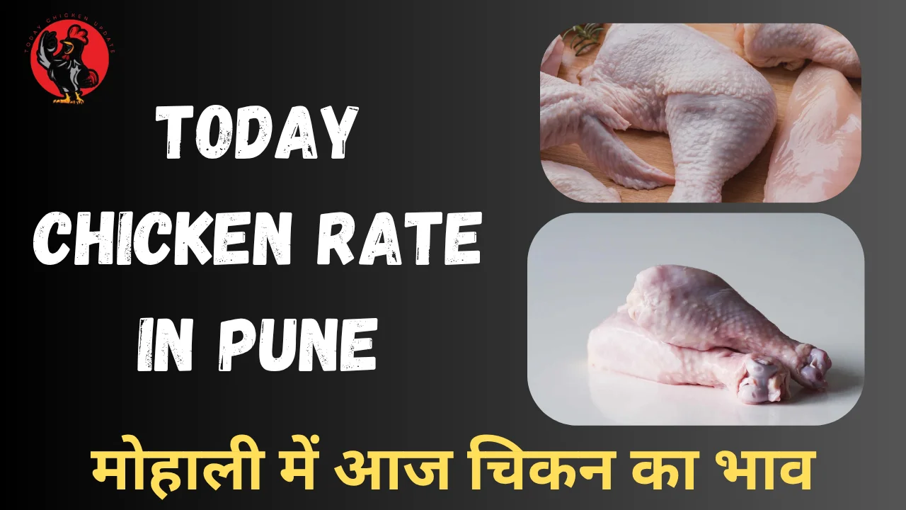 Today Chicken Rate in Pune