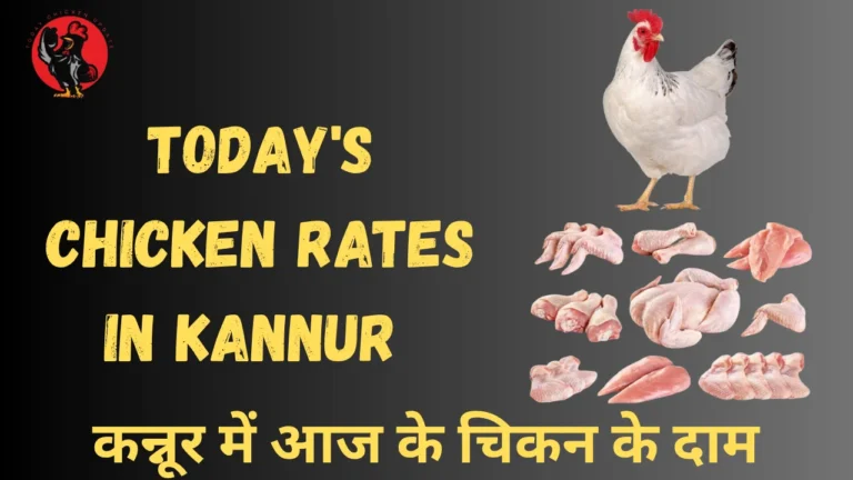Today's Chicken Rates In Kannur 