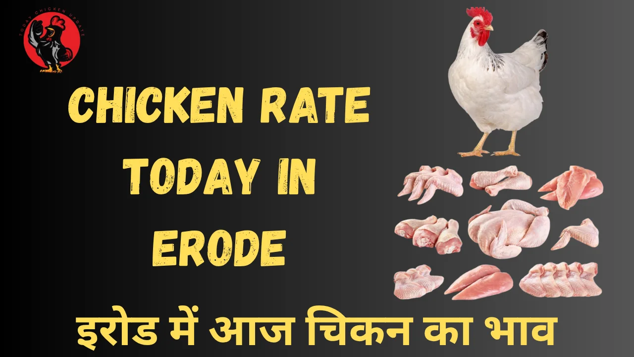 Chicken Rate Today in Erode
