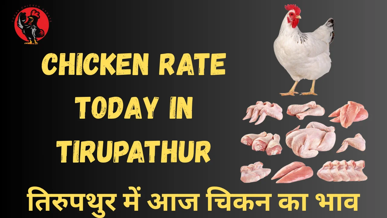 Chicken Rate Today in Tirupathur