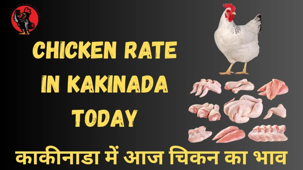 Chicken Rate in Kakinada Today
