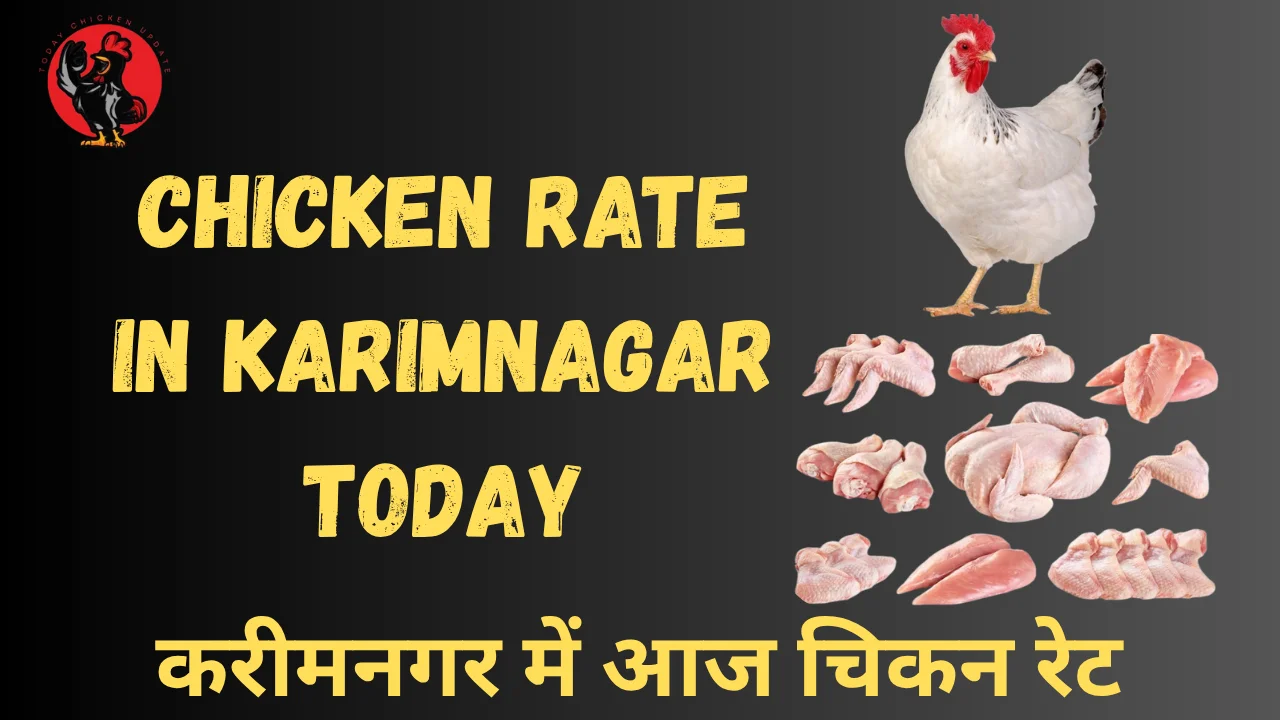 Chicken Rate in Karimnagar Today