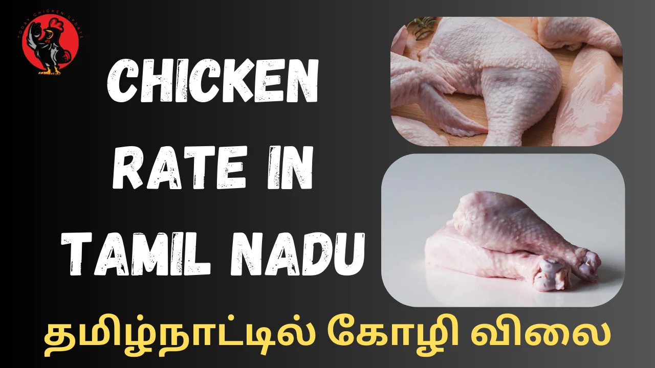 Chicken Rate in Tamil Nadu