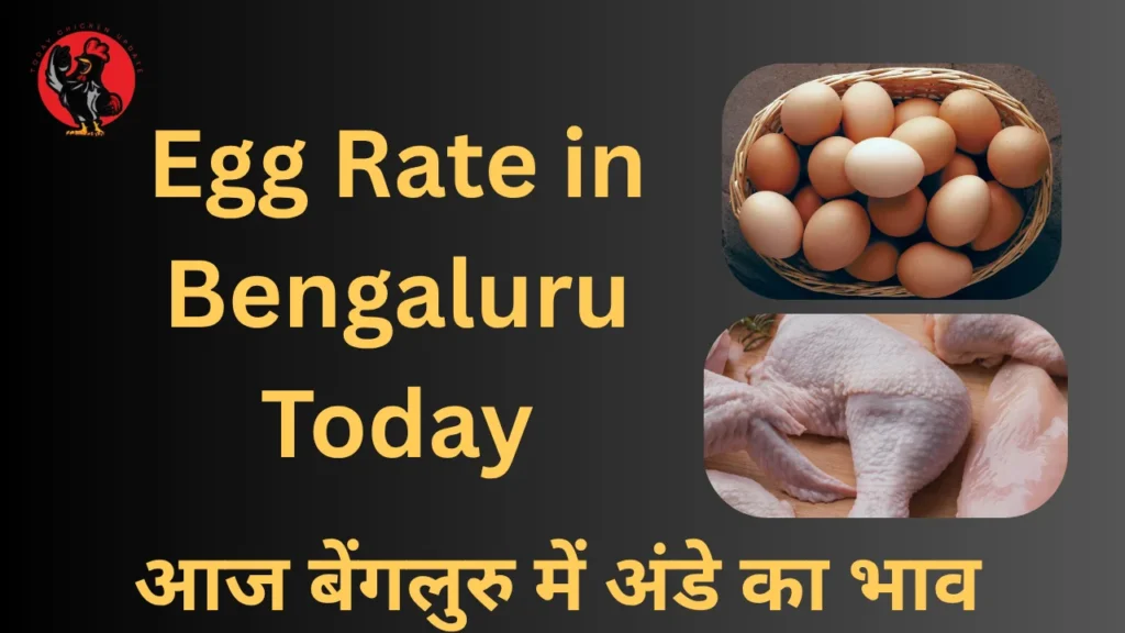 Egg Rate in Bengaluru today