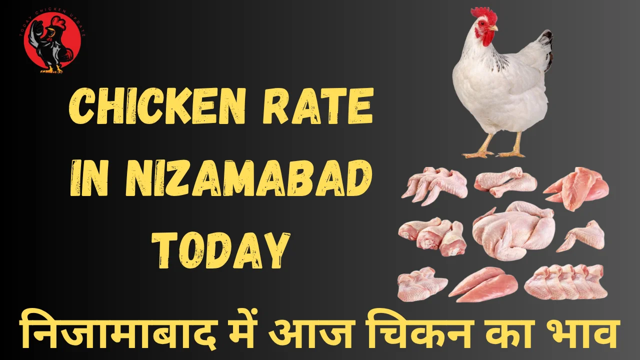 Chicken Rate in Nizamabad Today