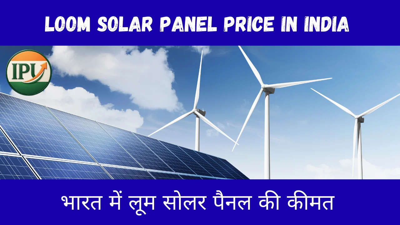 Loom Solar Panel Price in India