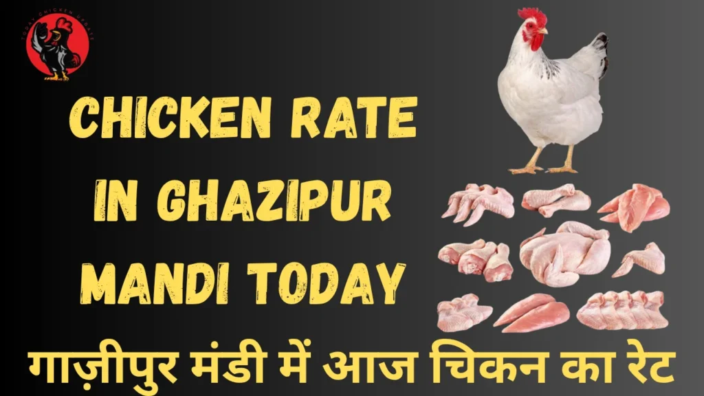Chicken Rate in Ghazipur Mandi Today (2)