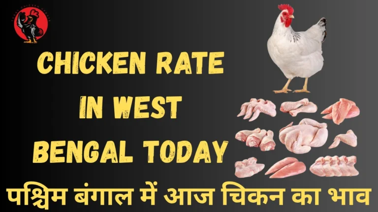 Chicken Rate in West Bengal Today